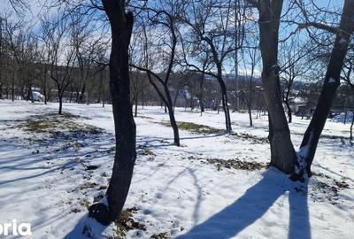 Teren de 2942 mp, în Valea Mare - 6