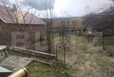 Teren 300 mp + Cabana,zona Livezile,Valea Lunga - 18