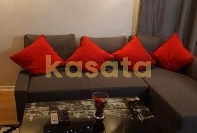 Apartament cu 2 camere decomandat, mobilat în Ștefăneștii de Jos - 4