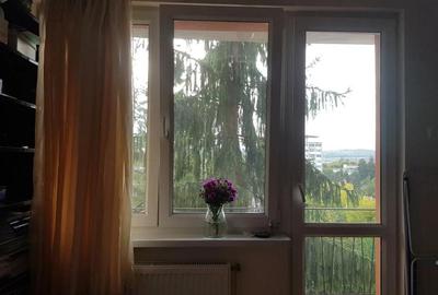 Apartament cu 2 camere semidecomandat în Cornișa - 10