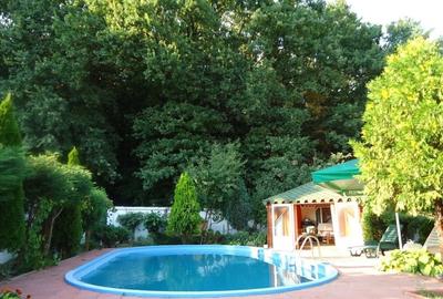 Vila piscina superba gradina matura cu iesire directa la padure - 6