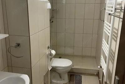 Garsoniera de inchiriat cu centrala mobilata in zona Universitate - 1