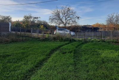 Spațiu comercial, în Bogdănești - 5