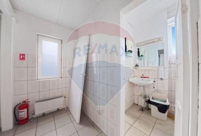 Cladire individuala 243 mp de inchiriat pe strada Mioritei - 13