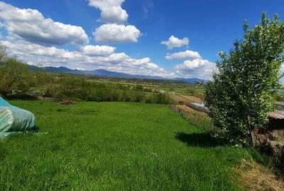 Loc. Coltau (jud.MM) - teren intravilan, 1.272 mp - 2