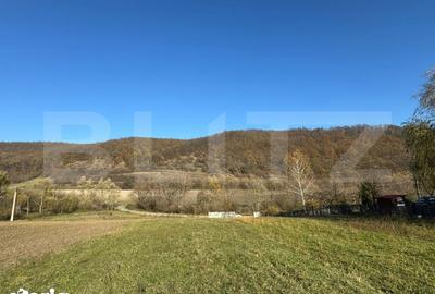 Teren de 2700 mp, în Cârjiți - 1