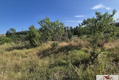 Teren Construcții intravilan de 2500 mp, în Ciugud - 2