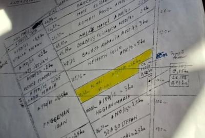 De vânzare teren extravilan – Deta - 3