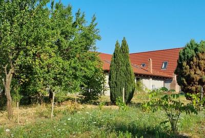 Casa Pensiune in Viile Satu Mare teren 1,63 ha, 11 camere, 10 bai - 2