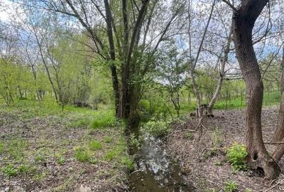 Spațiu comercial, în Malu Mare - 4