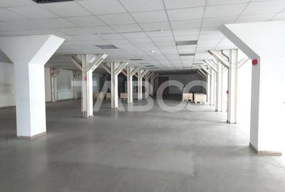 Spatiu industrial 320 mp depozite si birouri acces TIR Viile Sibiului - 4
