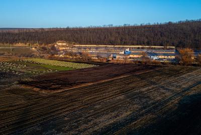 Spațiu comercial, de 50,000 mp, în Central - 14