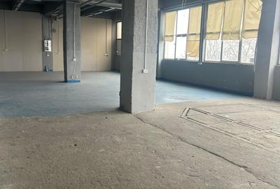 Theodor Pallady, depozit 183 mp - 3