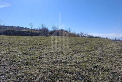 Teren Construcții intravilan de 439 mp, în Hamba - 2