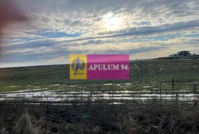 Teren Construcții extravilan de 4050 mp, în Sud - 4