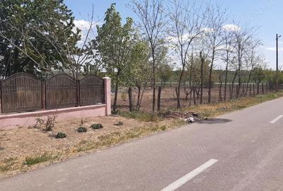 Vand Casa de locuit cu teren comuna Ograda - 5