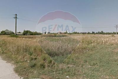 Teren 19.884 mp de vanzare FNC VITAL Crevedia Buftea - 5