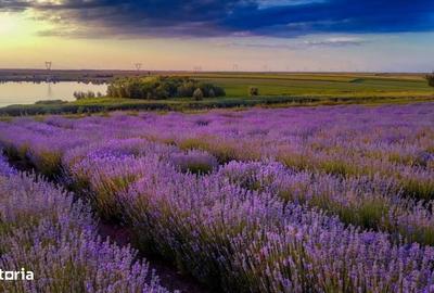 Spațiu comercial, în Central - 2