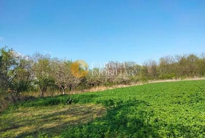 Casă individuală cu 3 camere cu Canalizare în Prisăcani - 4