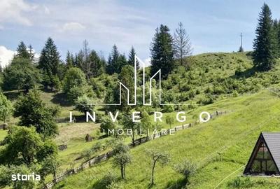 Teren de 4300 mp, în Vale - 2