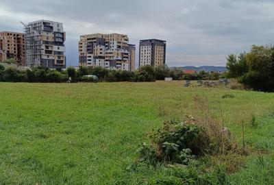 Teren intravilan 8000 mp , DR.D.Vechi - 7