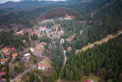 Teren 2000mp intravilan de vanzare in Poiana Brasov! Comision 0%! - 5