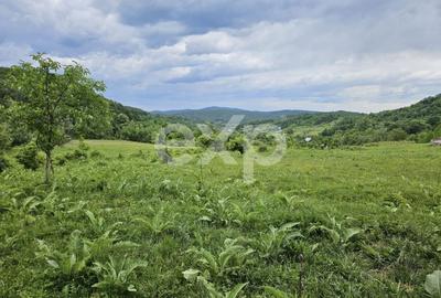 Teren agricol extravilan de 11935 mp, în Mărgineni - 4
