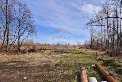 Comision 0 %/ Teren extravilan 3197 mp pitoresc/ Fagaras - 7