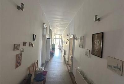 Conac Unicat Timis - 11