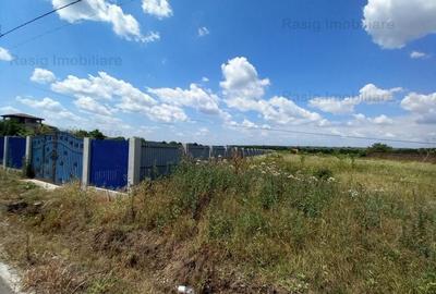 Teren intravilan 1187 mp , strada asfaltata , utilitati - 3