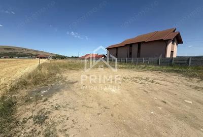 Teren de 2310 mp, în Bărăbanț - 1