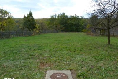 Casă cu 4 camere cu Teren 2100 Mp în Ludești - 12