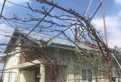 Casă cu 4 camere în Răchiți - 6