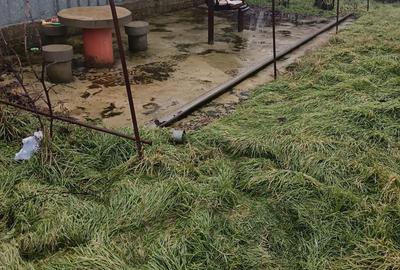 Casă cu 4 camere cu Teren 1450 Mp în Doba - 1