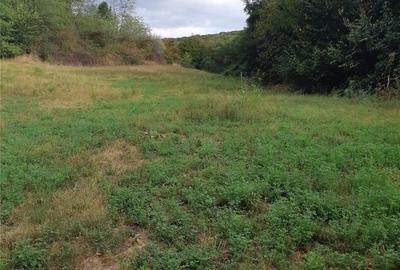 Casă cu 2 camere cu Teren 3410 Mp în Podu Turcului - 4