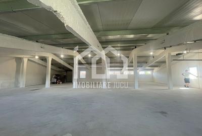 De închiriat: Hală de depozitare și producție în Jucu de Mijloc De închiriat: Hală de depozitare și producție în Jucu de Mijloc - 3