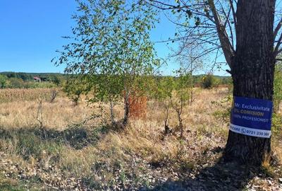 TEREN INTRAVILAN ȘI EXTRAVILAN BAIA DE FIER - 3