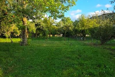 Teren intravilan de 2500 mp, în Breaza de Jos - 6