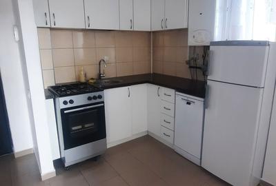 Apartament cu 2 camere decomandat în Dosu Bricii - 3
