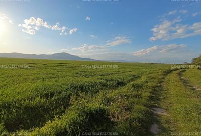 Teren extravilan arabil 20.000 mp Cristian Teren extravilan arabil 20.000 mp Cristian - 4