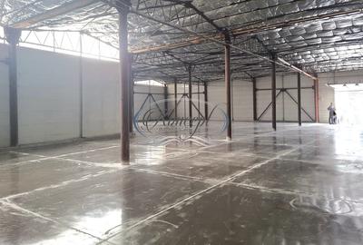 Hala ideala pentru productie sau logistica, pe Calea Baciului - 6