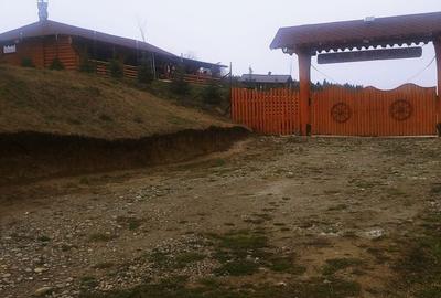 Spațiu comercial, în Paltin - 7