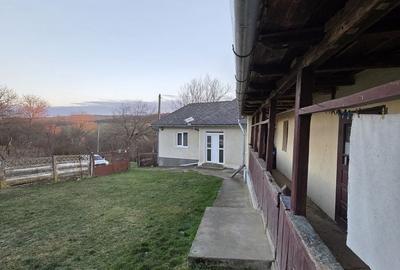 Casă cu 4 camere în Deleni - 5