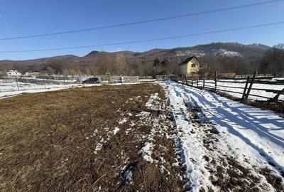 Teren Construcții intravilan de 4521 mp, în Valea Doftanei - 12