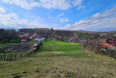 Teren Construcții intravilan de 4164 mp, în Central - 1