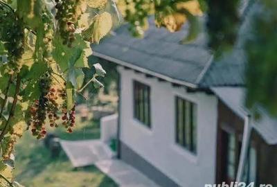 De vanzare pensiune in Com Tasca, Teren 3800 mp, toate utilitatile, 204.990 euro - 15