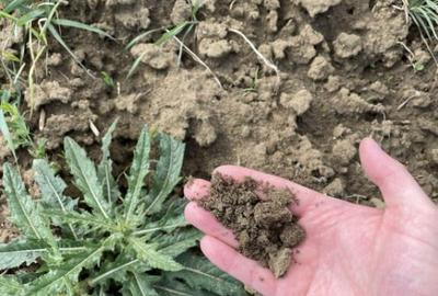 Teren la 13 KM de Baia Mare - 3