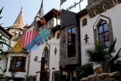 Exclusivitate si Istorie - Castelul Printul Vanator din Turda Exclusivitate si Istorie - Castelul Printul Vanator din Turda - 10