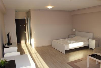 Garsoniera zona Otopeni (Aeroport) bloc NOU, Mobilata-Utilata MODERN - 7