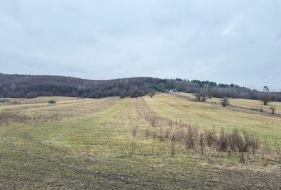 Teren extravilan 1500 mp de vânzare în Teliu – zonă liniștită - 3